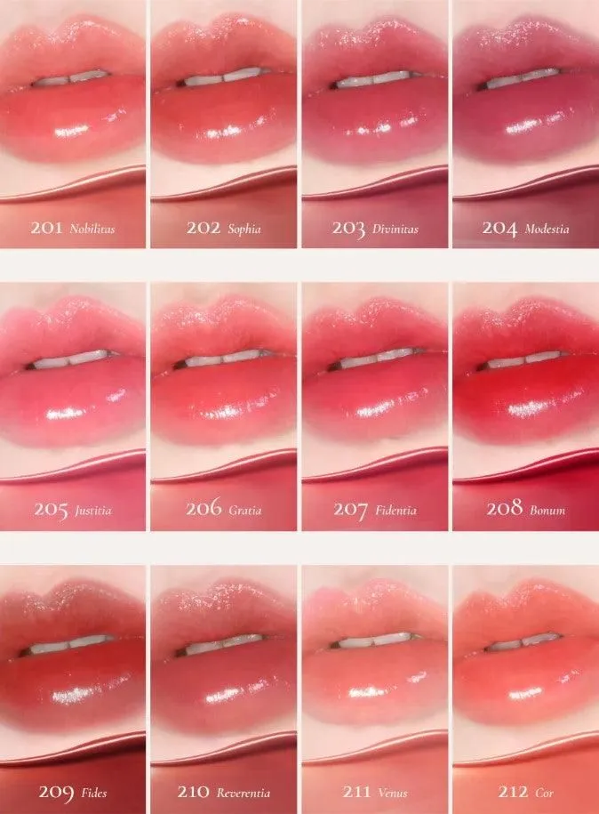Dinto Blur-Glowy Lip Tint 3.5g