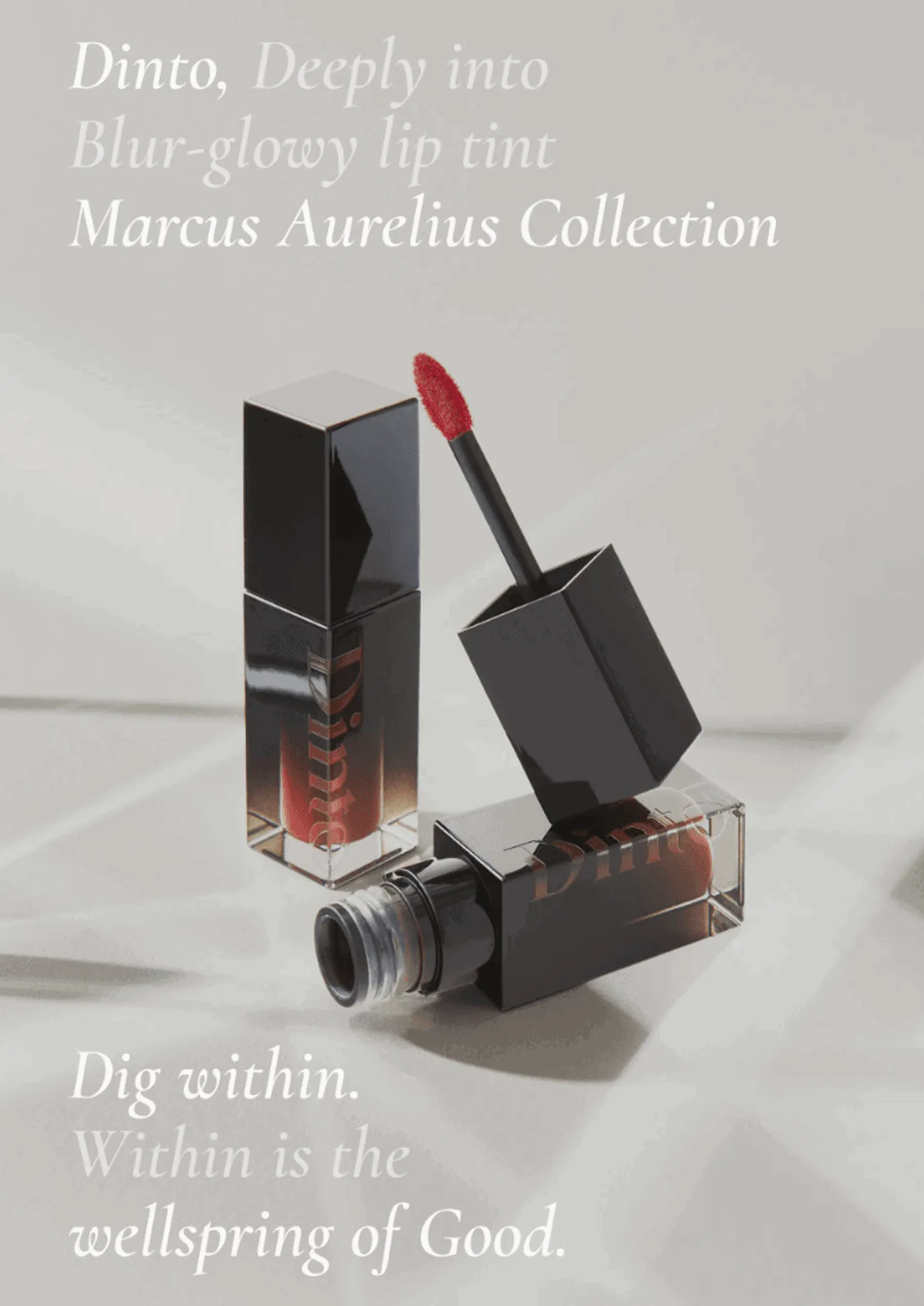 Dinto Blur-Glowy Lip Tint 3.5g