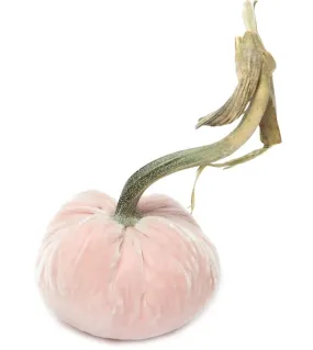 Hot Skwash Blush Velvet Pumpkin